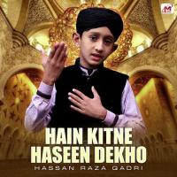 Hain Kitne Haseen Dekho Hassan Raza Qadri Song Download Mp3