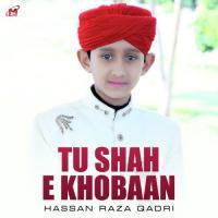 Tu Shah E Khobaan Hassan Raza Qadri Song Download Mp3