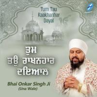 Sewak Ko Dini Apni Sev Bhai Onkar Singh Ji (Una Wale) Song Download Mp3