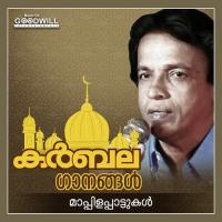 Beevi Fathimayude Peer Muhammed,B. Vasantha Song Download Mp3