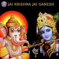 Krishna Ashtakam Rajalakshmee Sanjay Song Download Mp3