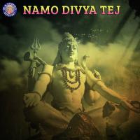 Shiva Panchakshar Stotra Rajalakshmee Sanjay Song Download Mp3