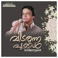 Chaanchakkam Chaayunna Peer Muhammed,Sujatha Mohan Song Download Mp3