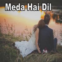 Meda Hai Dil Amjad Saqi Song Download Mp3