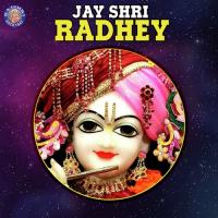 Shri Kunjbihariji Ki Aarti Sanjeevani Bhelande Song Download Mp3