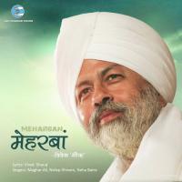 Tu Mila Hai Neha Batra,Shubhdeep Singh Song Download Mp3