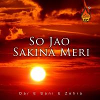 Alvida Assalamo Alaika Dar-e-Sani-e-Zehra Song Download Mp3