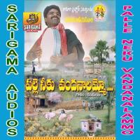 Pata Padeti Pillalu Rasamai Balakishan Song Download Mp3