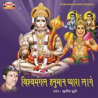 Tarkhedi Hanuman Vishwamangal - 1 Sunil Jhunje Song Download Mp3