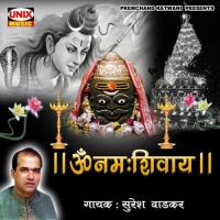 Om Namah Shivay Suresh Wadkar Song Download Mp3