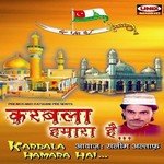 Hussain Wale Jannat Main Jayenge Saleem Altaf Song Download Mp3