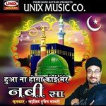 Huaa Na Hoga Koi Meray Nabi Sa  Song Download Mp3