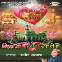 Aaka Hussain Kom Ke Pyare Salaam Lo Saleem Altaf Song Download Mp3