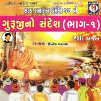 Jene Parati Nathi Gharbaar Ma Naval Singh,Dinesh Vasava Song Download Mp3