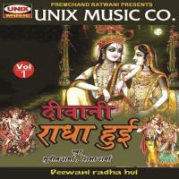 Aise Kirpa Karo Shree Radhe Sunil Sharma Song Download Mp3