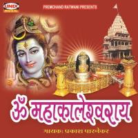 Om Mahakaleswer Prakash Parnerkar Song Download Mp3