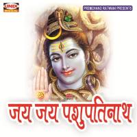 Jay Jay Pashupatinath, Pt. 2 Shiv Kumar Pathak Song Download Mp3