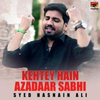 Kehtey Hain Azadaar Sabhi Syed Hasnain Ali Song Download Mp3