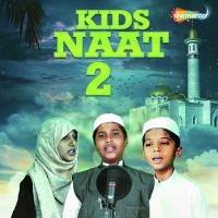 Pyaare Nabi Ka Pyaara Ghar Muhammad Areeb Song Download Mp3