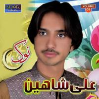 Ae Pull Na Dewana Ali Shaheen Song Download Mp3