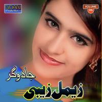 Na Tasweeer Zeemal Zaibi Song Download Mp3