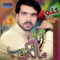 Waldana Ni Bar Malik Zaib Song Download Mp3