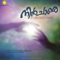 Enneshuve Biju Karukutty Song Download Mp3