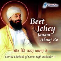 Ee Nar Eh Saachi Jee Dhaarey Bhai Nirmal Singh Ji Khalsa Song Download Mp3