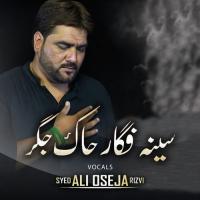 Seena Fagar Chaak Jigar Syed Ali Oseja Rizvi Song Download Mp3