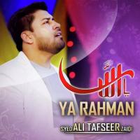 Ya Allah Ya Rahman Ali Tafseer Zaidi Song Download Mp3