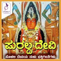 Vaa Janmada Punyana S P Balasubramanyam,Ajay Wariyar,Narasimhanayak,Sangeetha Balachandra,B R Chaya,Archana Udupa,Sureka Song Download Mp3