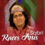 Musalmano Sanbhal Jao Raees Anis Sabri Qawwal Song Download Mp3