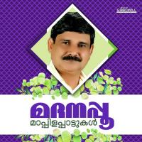 Parvathangal Panji Pole I.P. Siddique Song Download Mp3