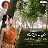 Jaamu Retiri R.P. Patnaik Song Download Mp3