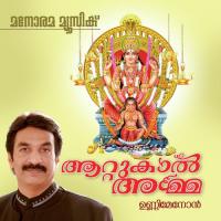 Pongala Ponagala Minmini Mathews Song Download Mp3