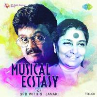 Choodara (From "Adavi Ramudu") S. Janaki,S. P. Balasubrahmanyam Song Download Mp3