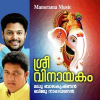 Padinjattu Madhu Balakrishnan Song Download Mp3