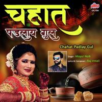 Chahat Padlay Gul Mayur Naik Song Download Mp3