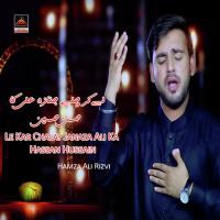 Le Kar Chalay Janaza Ali Ka Hassan Hussain Hamza Ali Rizvi Song Download Mp3