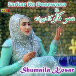 Sarkar Ka Deewana Shumaila Kosar Song Download Mp3