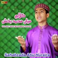 Kalam E Mian Muhammad Baksh Sahabzada Abu Huraira Song Download Mp3