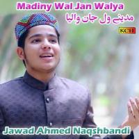 Aale Nabi Sy Wafa Jawad Ahmed Naqshbandi Song Download Mp3