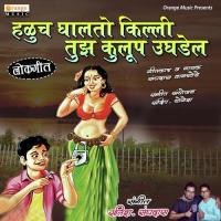 Haluch Ghalto Killi Tuza Kulup Ughadel Sanghadas Wankhede Song Download Mp3