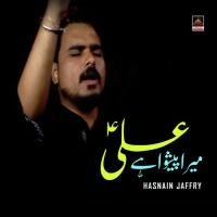 Mera Peshwa Hai Ali Hasnain Jaffry Song Download Mp3