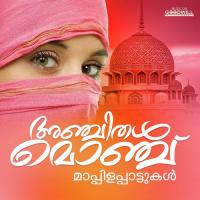 Anjummili Monjithal Naseeb Nilambur Song Download Mp3