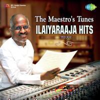 Nuvvadigindi (From "Vayasu Pilichindi") Vani Jayaram Song Download Mp3