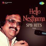 Ragalapallakilo (From "Subhalekha") P. Susheela,S. P. Balasubrahmanyam Song Download Mp3