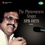 Sri Manjunatha Charithe - Shiva Puraana (From "Sri Manjunatha") S. P. Balasubrahmanyam,K. S. Chithra Song Download Mp3