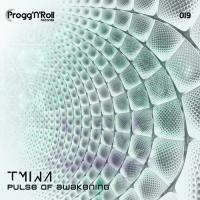 Pulse Of Awakening Tmina Song Download Mp3