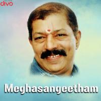 Apaara Neelimayil K.J. Yesudas,K. S. Chithra Song Download Mp3